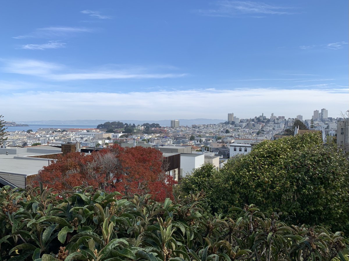 Sebastian Gubernator tweet media