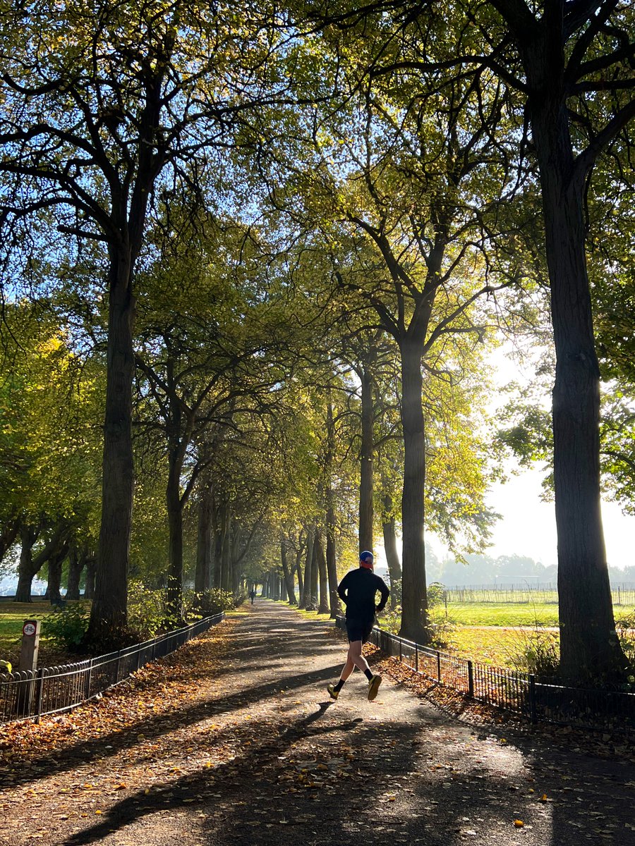 TiCLme's tweet image. Time for trees

#timefortrees

@TiCLme @parkrunUK @johntree1981 @NatFedParks @nspugh @keeper_of_books @GreenGymPenge @ParksCommUK @CamCanopyProj @BristolTreeFora @dorsetandbeyond @Trees4Grenfell_ @ArbAssociation @UrbanTreeFest @LanesTree @TreesforCities @ParksCommUK