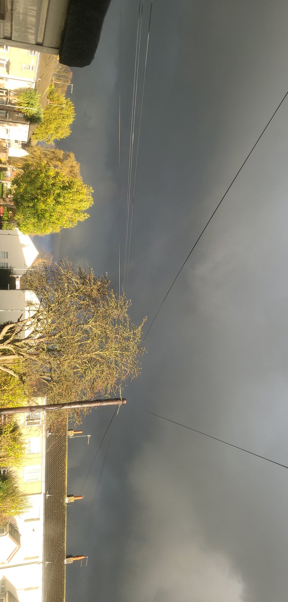 Jennyred 🦊 on Twitter: "@creja34 😍😍😍😍 https://t.co/PeH9grpI6A" / Twitter