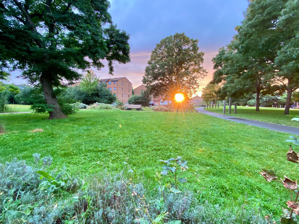 Claudio Giambrone tweet media