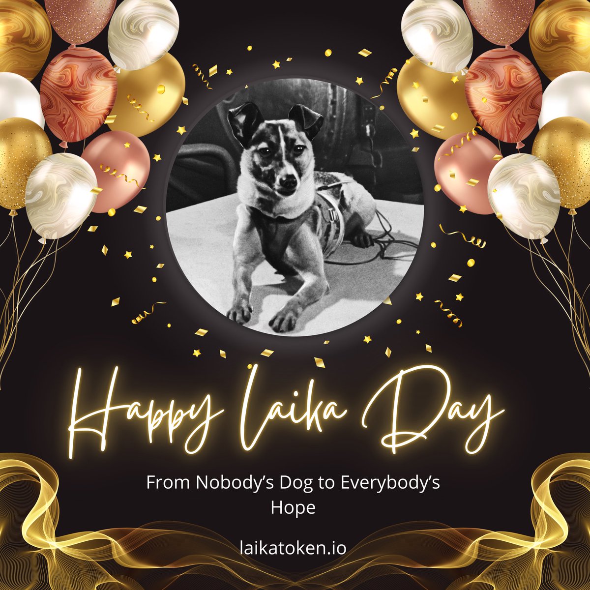 On Nov 3rd,1957, Laik became the first dog in space.  Today, it is all about honoring Laika’s legacy and celebrating what Laika stands for, hope.