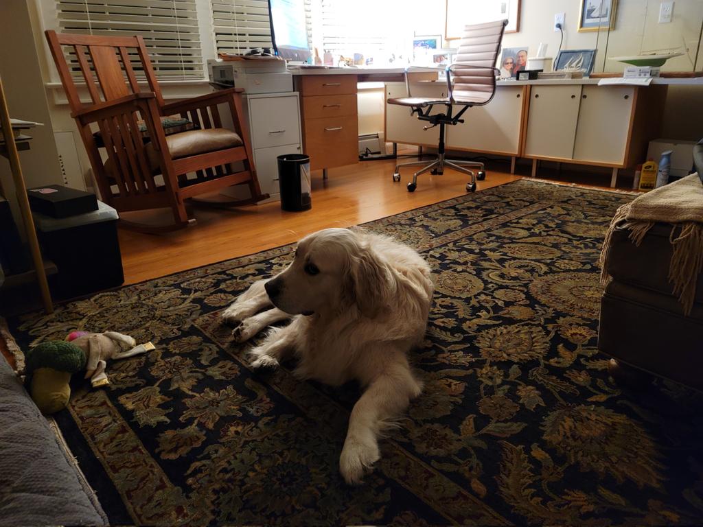 StevenRosenbaum's tweet image. The Intern is not pleased...
#AssignmentDesk