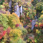 ツイートに含まれる画像