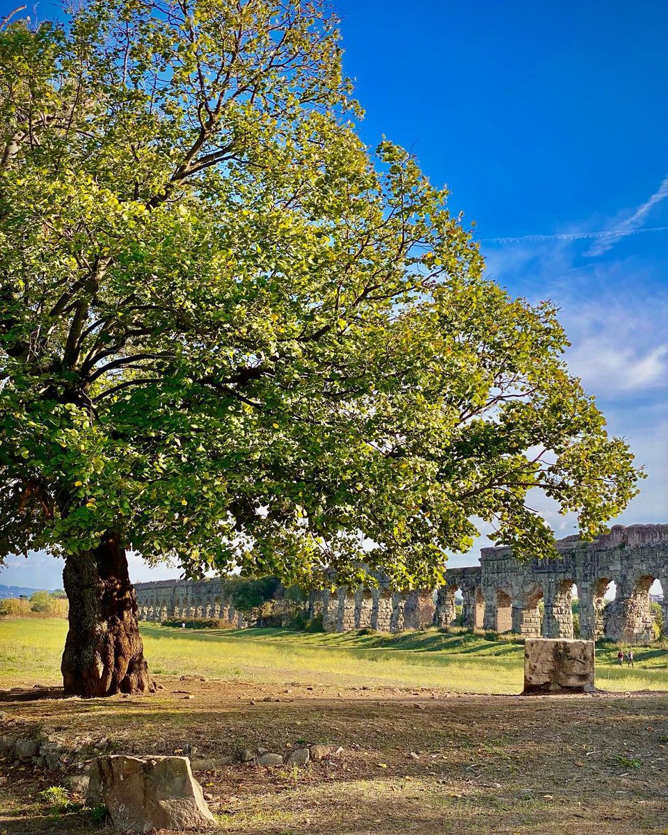 Turismoromaweb's tweet photo. Il Parco degli Acquedotti, luogo affascinante e pieno di storia, meta di passeggiate, sport all'aria aperta e scampagnate.
👉https://t.co/N5heROWVpo

📸 IG _robsir__
#VisitRome https://t.co/FGrJSzhOCn