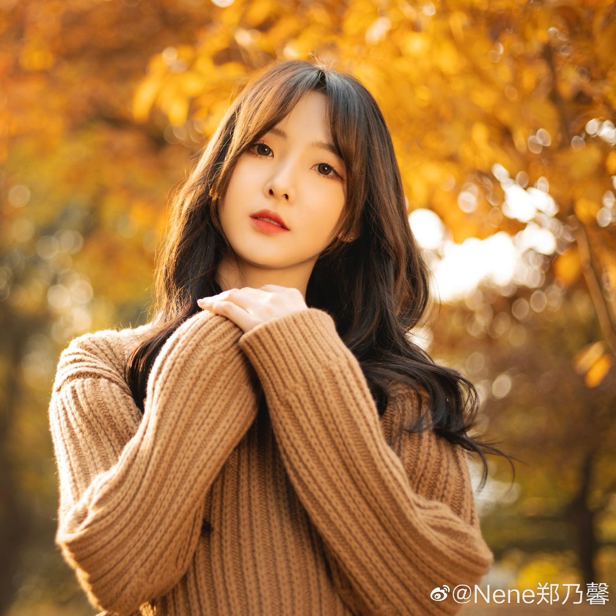 B_ADMD_B1's tweet photo. "No spring nor summer beauty hath such grace as I have seen in one autumnal face."
"ฤดูใบไม้ผลิหรือฤดูร้อนไม่มีความงามใดที่สง่างามอย่างที่ฉันได้เห็นในฤดูใบไม้ร่วง"

 #เนเน่และวันใบไม้สีทอง https://t.co/PbRTaLdDx1