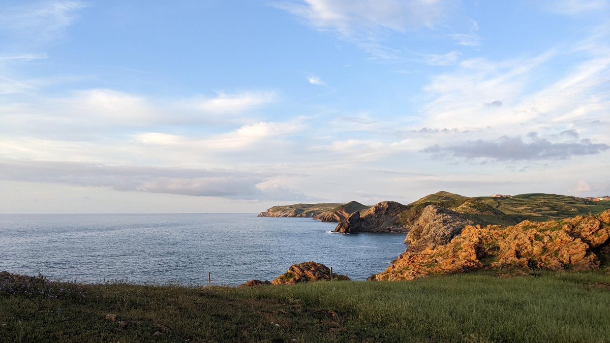 Lisa Kettemer 🦣 tweet media