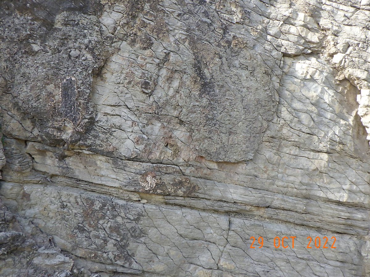 #Geology on penseu que esta la antiforme a la dreta de la fotografia (Montsec) o a l’esquerra (depressió de l’Ebre)?. També podeu considerar la sinforme. Magnífica estructura d’una esquistositat no penetrativa a la Baronia de Sant Oïsme (capçalera del embassament de Camarasa)