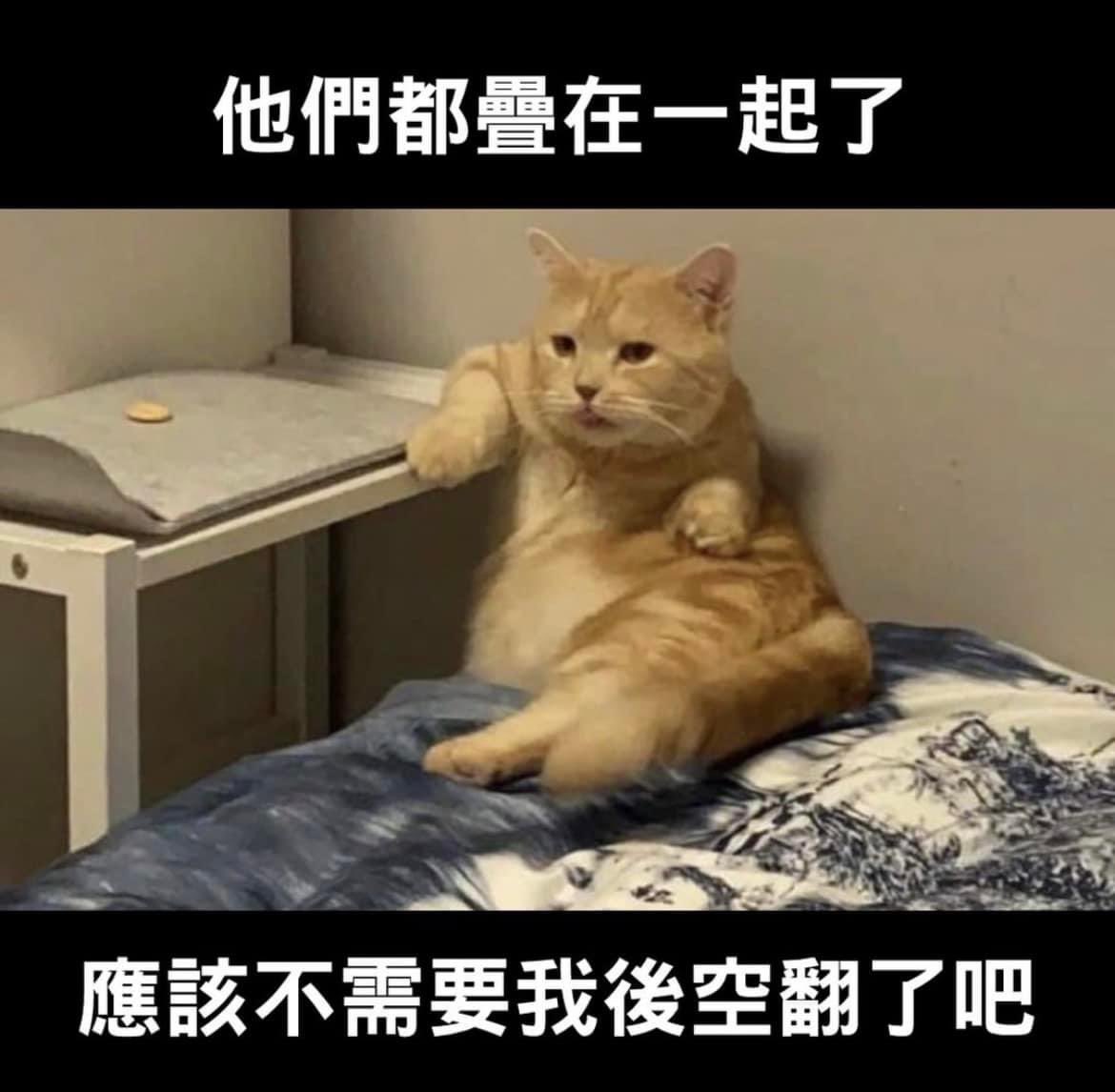 該翻還是要翻的吧😠 https://t.co/MSbjjboJwS