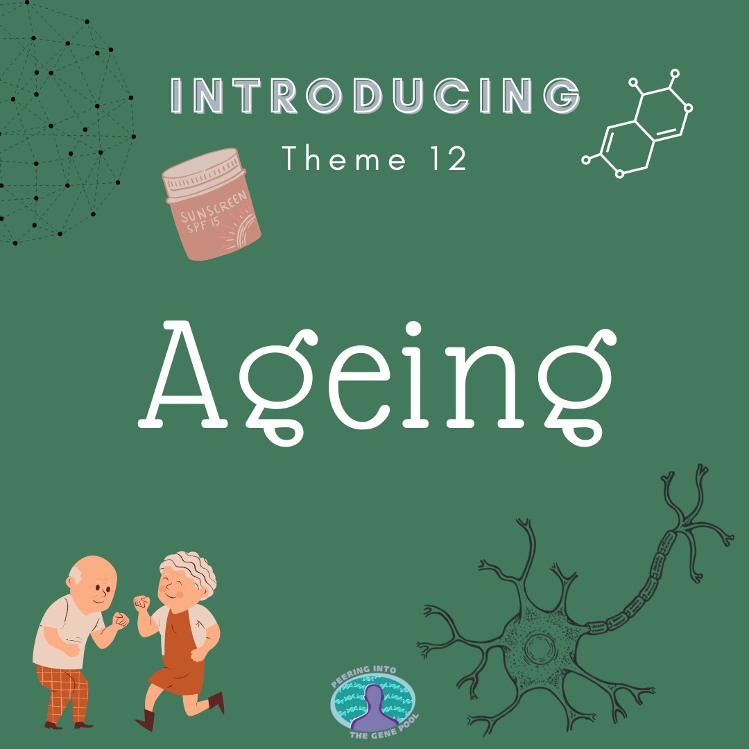 inthegenepool's tweet photo. Introducing our brand new theme: Aging! We've got some exciting posts coming up so stay tuned!

#aging #biology #environment #newtheme #blog #science #genetics #lifestyle #peeringintothegenepool https://t.co/t28HWa0VNV