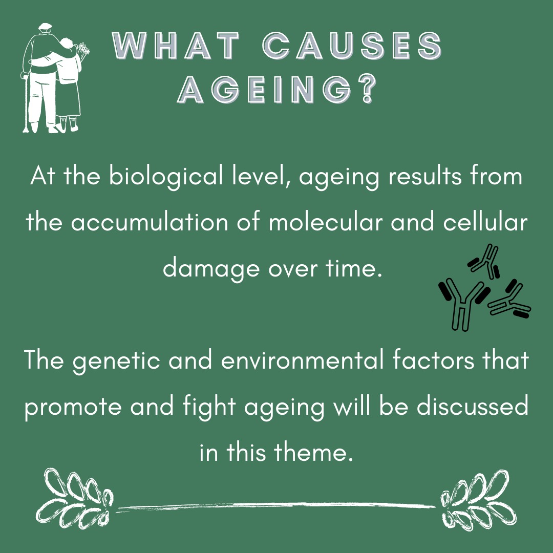 inthegenepool's tweet photo. Introducing our brand new theme: Aging! We've got some exciting posts coming up so stay tuned!

#aging #biology #environment #newtheme #blog #science #genetics #lifestyle #peeringintothegenepool https://t.co/t28HWa0VNV