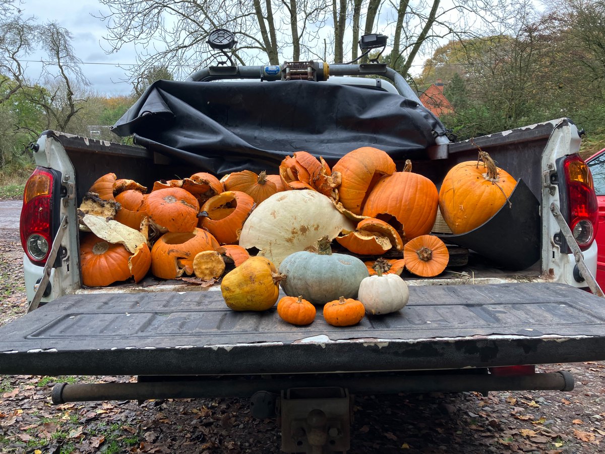 StaffordshireCC's tweet photo. Spooky season is over. Please dispose of your carved pumpkins safely 🎃

Do (Be sure to remove all wax and candles first)
✅ Put in your food waste bin
✅ Compost
✅ Bury in the garden, more than 25cm deep

Do not
🚫 Leave in woods or nature reserves
🚫 Leave in your garden https://t.co/y0gheJfxzp