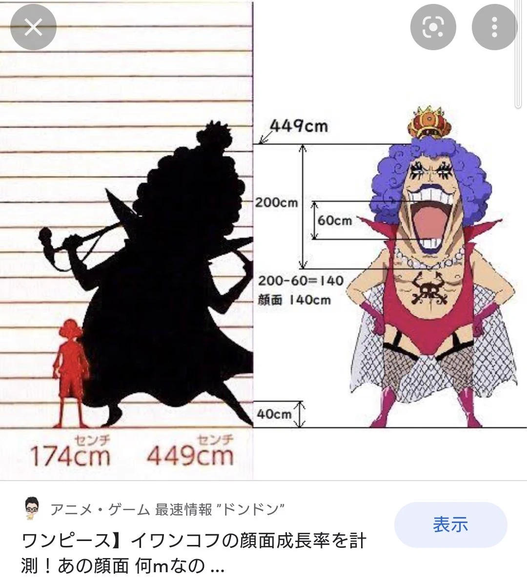 @luffy030852 拾い画ですが、イワンコフの顔2mあるらしいです 