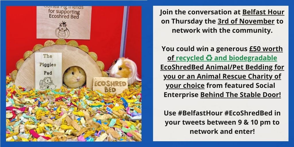 Win a £50 worth of recycled ♻️ biodegradable <a href="/ecoshredbed/">Ecoshred Bed</a> Animal/Pet Bedding for you or an Animal Rescue Charity of your choice from featured Social  Enterprise <a href="/behind_stable/">Behind The Stable Door</a>, join the conversation and network with @edwardsandco_ at #BelfastHour tonight at 9pm! #EcoShredBed