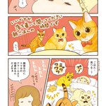 目を覚ますと複数の視線が･･･!とっても可愛くて読んでいて癒される猫漫画!