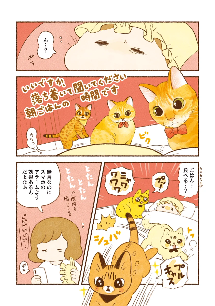 目を覚ますと複数の視線が･･･！とっても可愛くて読んでいて癒される猫漫画！