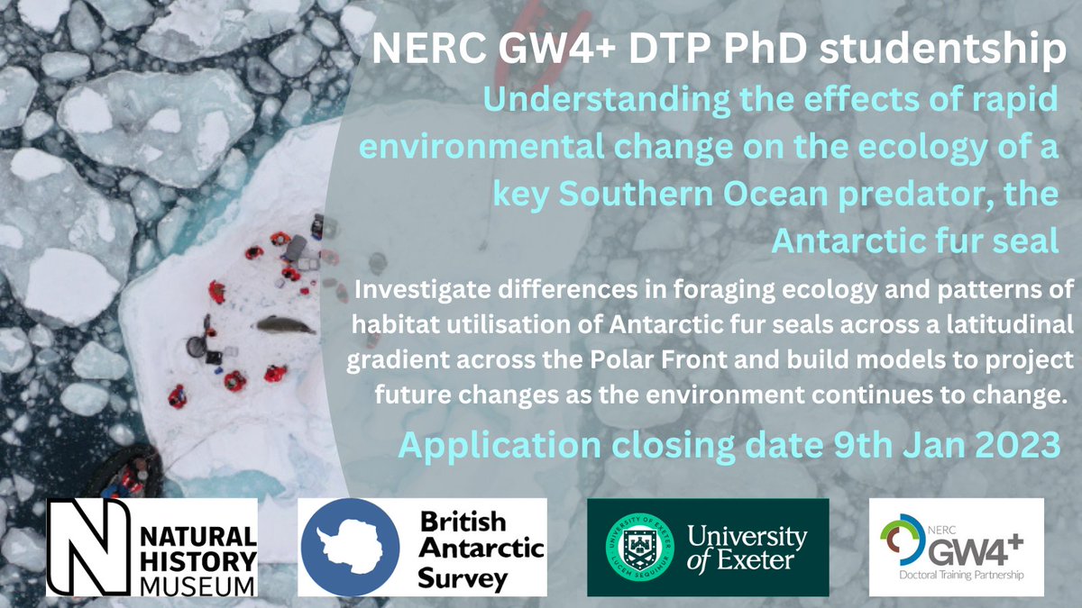 📢Another @GW4plusDTP funded PhD opportunity 📢 With @LuisHuckstadt @StuBearhop @BAS_News and @NHM_London Investigating the foraging ecology of Antarctic fur seals using #Biologging and #StableIsotopeAnalysis 🦭 exeter.ac.uk/study/funding/…