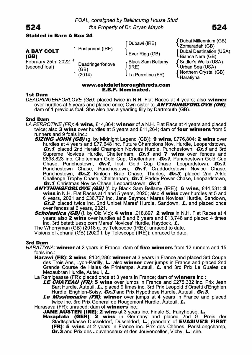 Eskdale_Stud's tweet photo. #ANYTHINGFORLOVEs nephew by full sister #Deadringerforlove, Sire: Postponed, colt, 2022, Lot 524. The famous #LaPerrotine string #SizingJohn 
He's up Monday Nov 7th @DarleyStallions  @tatts_ireland @Tattersalls1766 @rpbloodstock @bloodstocknews @MartinStevensB1 @BallincurrigHse https://t.co/SsDEts4KWM