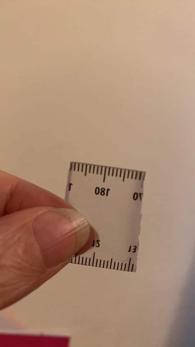 4 kids argued with me today when I said they had come to lesson unprepared AGAIN as none of them sitting on one table had a ruler. 
They tried convincing me they did in fact have a ruler which they were sharing. 
This is the ruler…