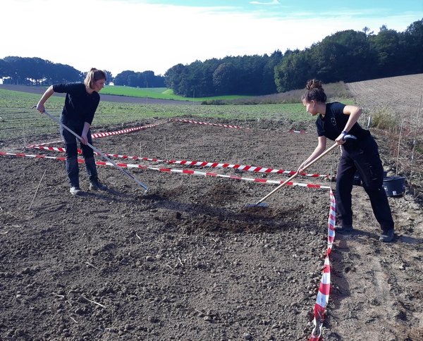 Onder oude soortenrijke graslanden gaat een rijk bodemleven schuil. De onderzoekers van Living Lab Ooijpolder – Groesbeek (LLOG) testen of deze #bodembiodiversiteit een ingezaaid #graskruidenmengsel beter doet groeien. 

Lees meer via: vianatura.nl/biodiversiteit…