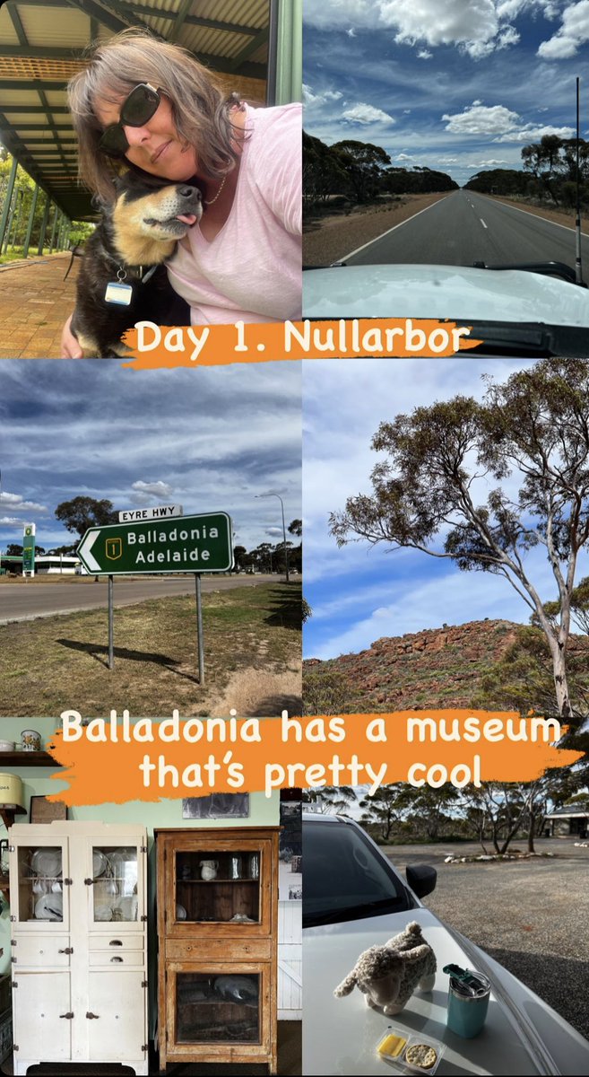fleurmcdonald's tweet photo. Day 1 of Broad River Station tour. Said goodbye. Had a few tears. Got on the road. Saw some magic country. Now having a wine. Oh, and the toy sheep? I named it Sheep. Out of Footrot Flats. Just like Dog &amp;Horse. Can’t get too imaginative here!#authortour #newrelease #hardgoodbyes https://t.co/XIfnMV0mSR