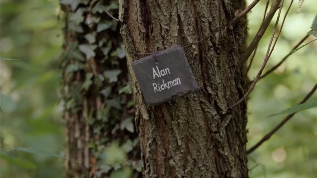 TheLadyMou's tweet photo. Caught up on #LouisTherouxMeets - oh my goodness Judi Dench’s memory trees. How beautiful. https://t.co/jVLu3pRfAD