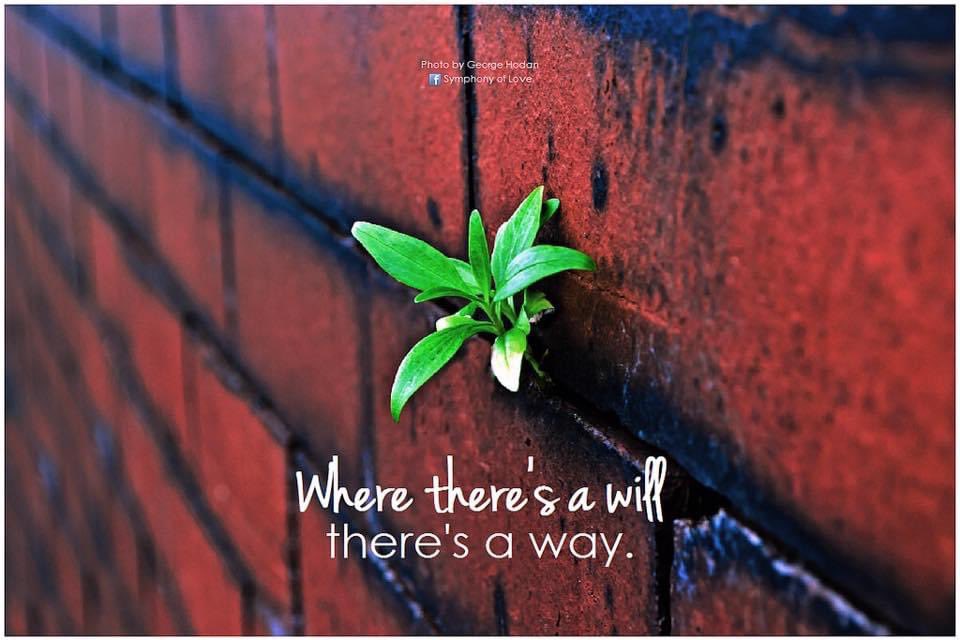 AmroZain1's tweet photo. When there’s a will,there’s a way.

BE STRONG 💪,

and NEVER give up 👍 https://t.co/WZUfSoHF7p