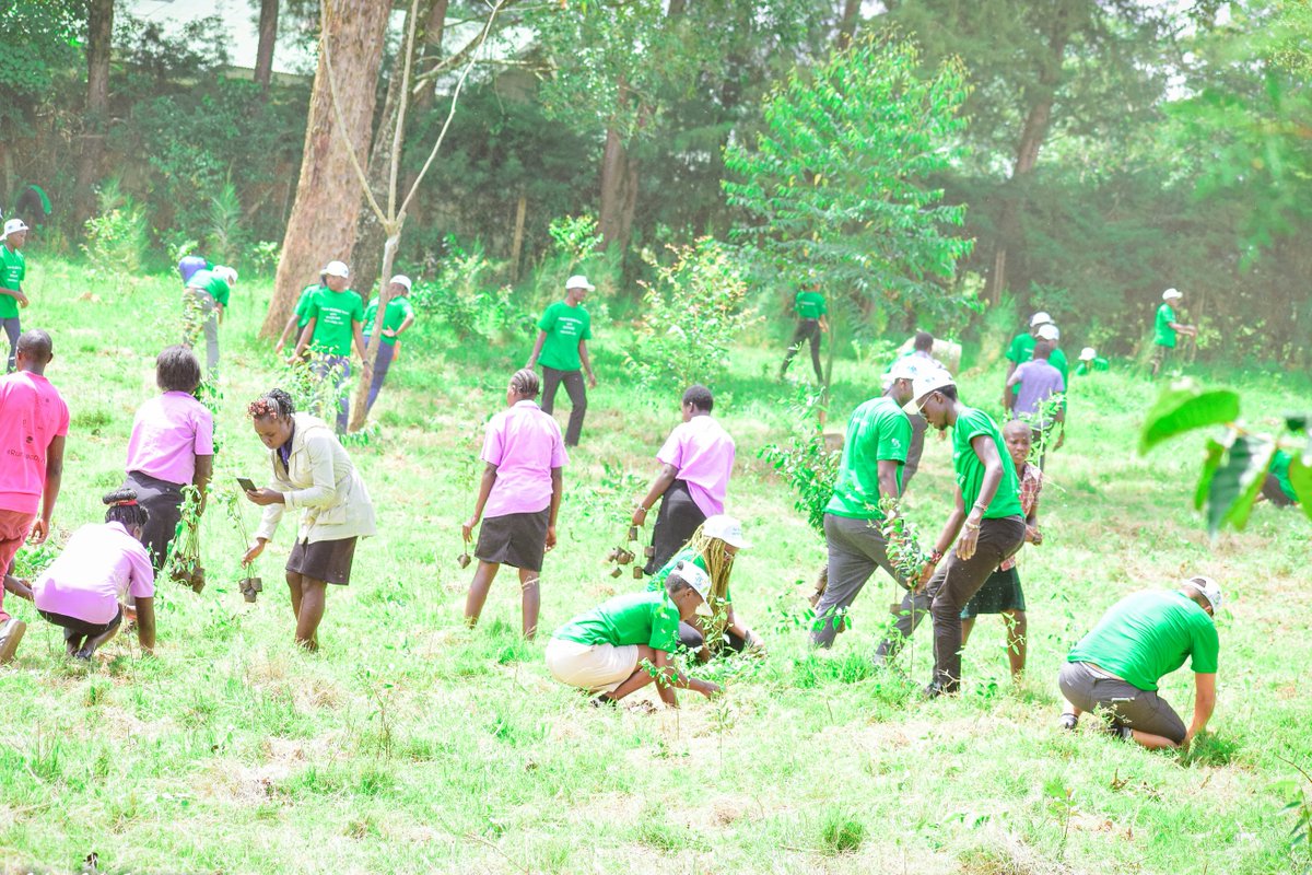 Youths For Green Action Kenya tweet media