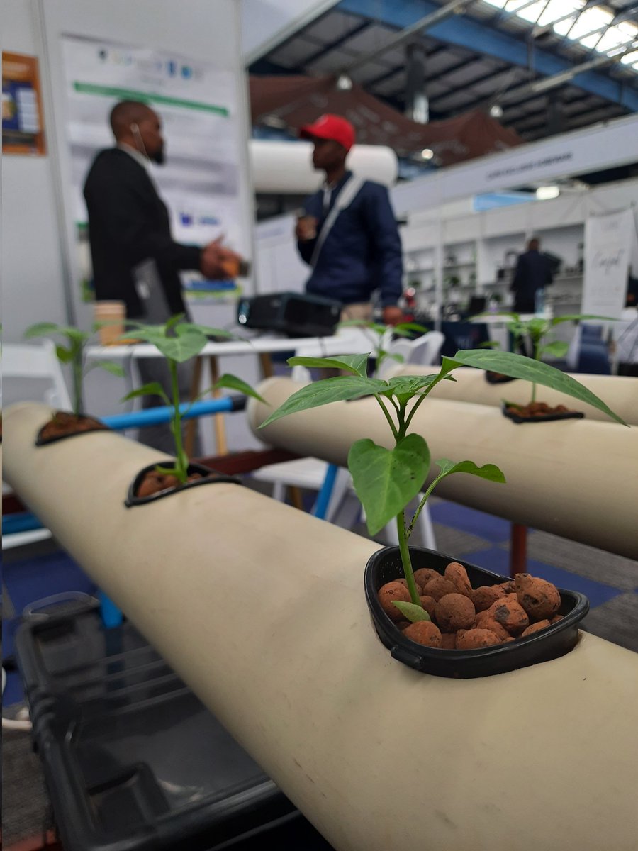 BCC_Network's tweet photo. Day 3 of the @GlobalExpo_BW
We explained about the importance of #livingsustainably for #climatechangeadaption
#smartagriculture methods not are only friendly to our planet, but offer better yields thus contributung to food security. https://t.co/HYO8RZNbTq