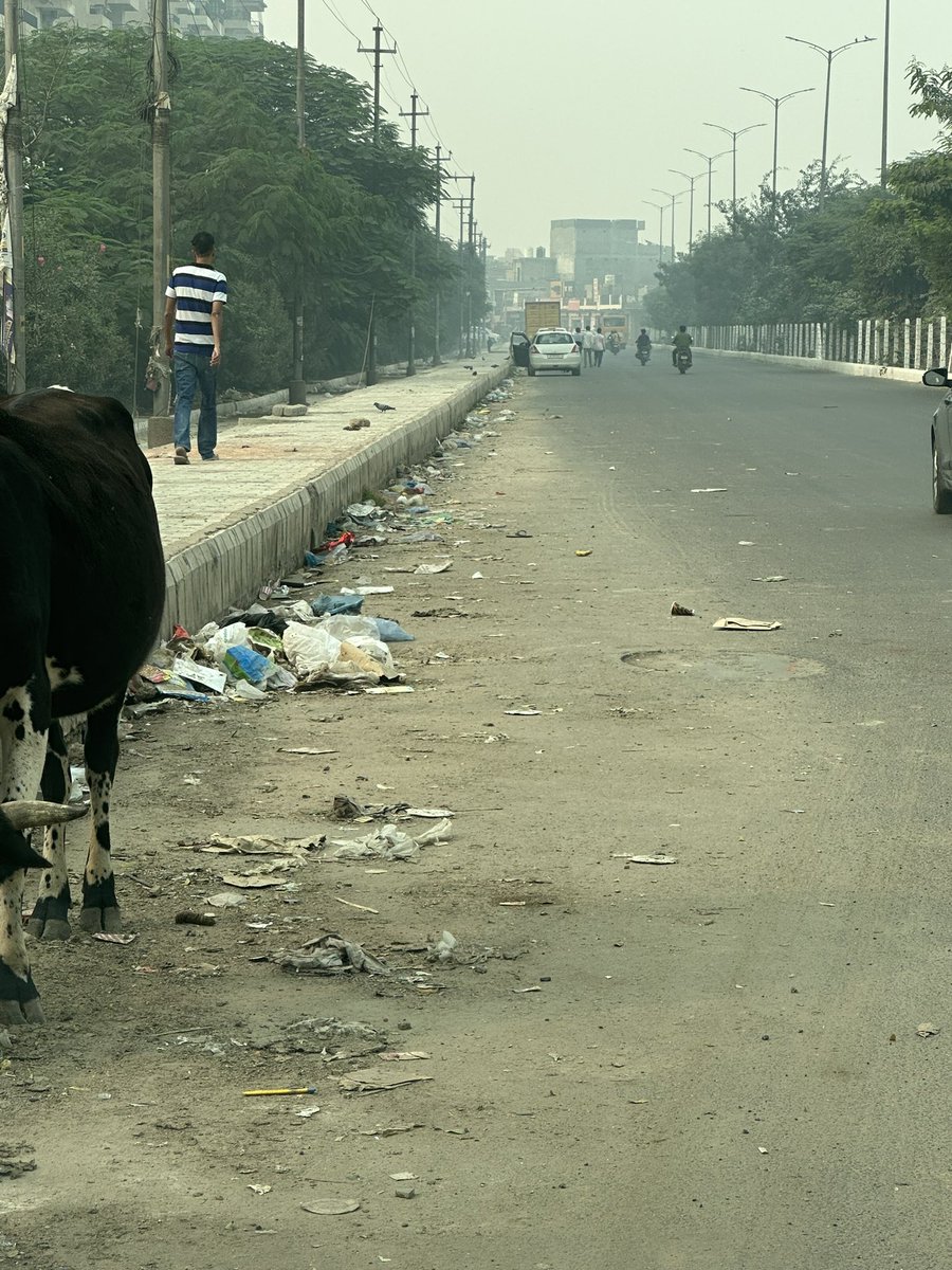 harsh11's tweet photo. @OfficialGNIDA Internal roads of Gaur City (GreaterNoidaWest) flooded with garbage and dust. Zero maintenance of greenery around, specially road divider plants. This needs to be resolved. https://t.co/SG403lK73C
