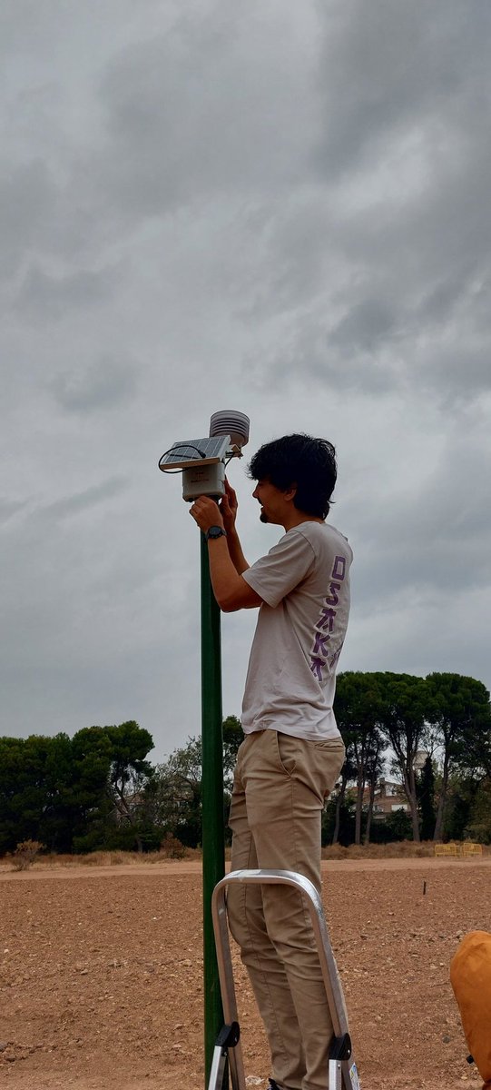 libelium's tweet photo. Formamos parte del ecosistema El Bosque de los Zaragozanos con el @zaragoza_es y @ecodes. Natalia Chueca, Victor Viñuales y @aliciaasin lo están explicando a los medios en Zaragoza. Necesitamos medir los datos para tomar medidas inteligentes para los ciudadanos. #datocracia https://t.co/c7ZXUOND4F