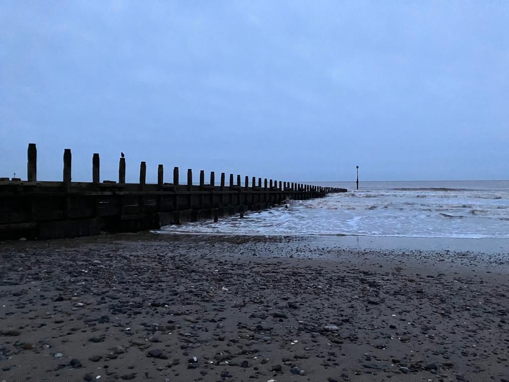 Yorkshire Marine Nature Partnership tweet media