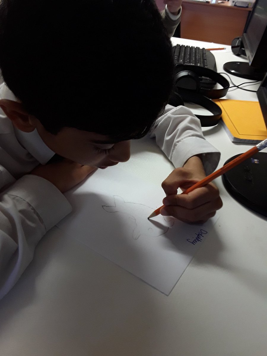 Year 4 are creating their own creatures.  They will then become 'experts' on these creatures, creating a non-chronological report about them.