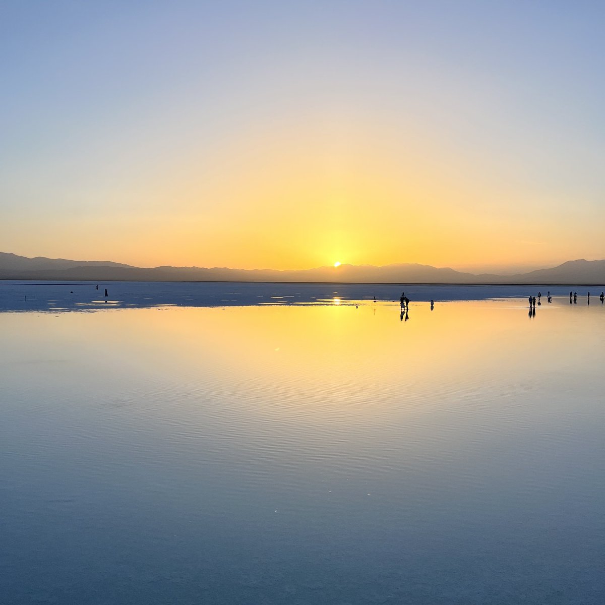 YQ wang (@YQwang84086685)  X