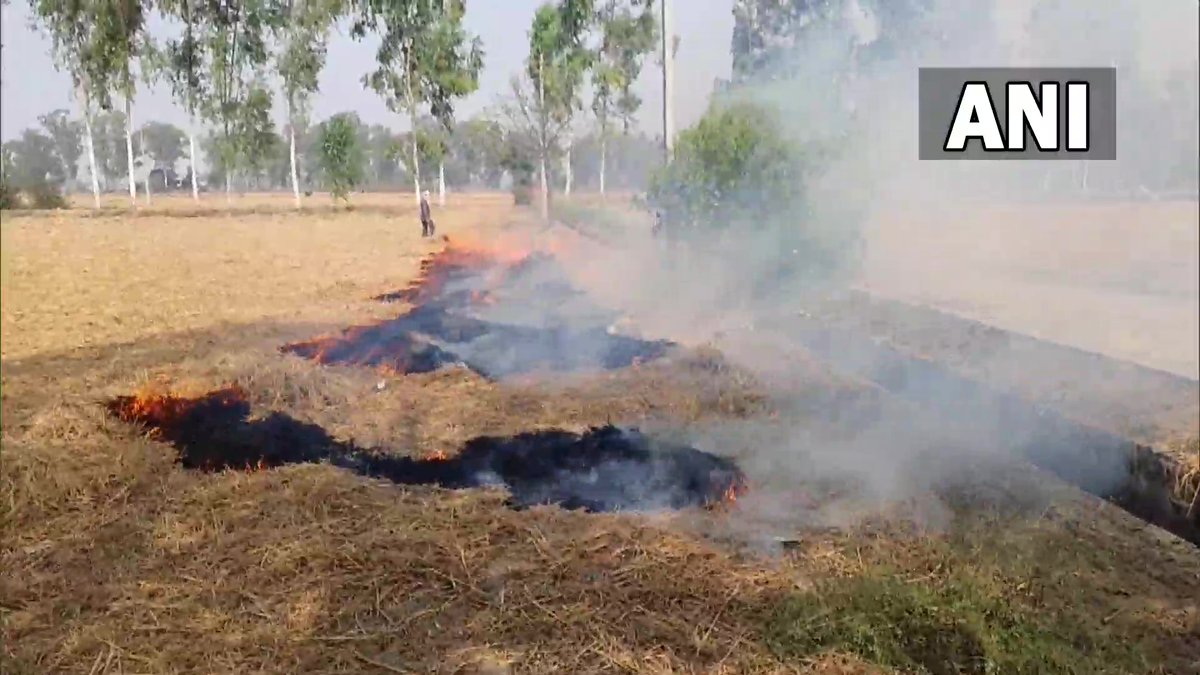 ANI's tweet image. Even as Delhi-NCR AQI continues to dip, stubble burning continues in Punjab; Visuals from Faridkot district

This govt made several promises to win our votes. But no step has been taken by them. No farmer burns stubble out of pleasure, we are forced to do it: A farmer