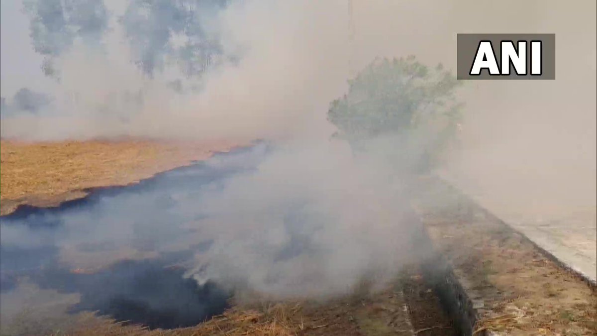 ANI's tweet image. Even as Delhi-NCR AQI continues to dip, stubble burning continues in Punjab; Visuals from Faridkot district

This govt made several promises to win our votes. But no step has been taken by them. No farmer burns stubble out of pleasure, we are forced to do it: A farmer
