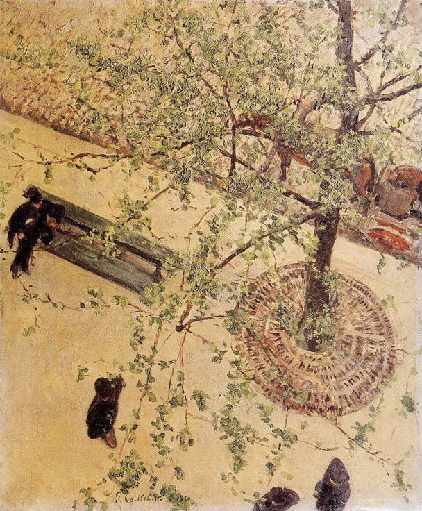 #guidesconferenciers #patrimoine Caillebotte peintre du Paris haussmannien vue plongeante sur une grille d’arbre collector 🥲« Le boulevard vu d'en haut »1880 #RemettezLesGrillesDArbres