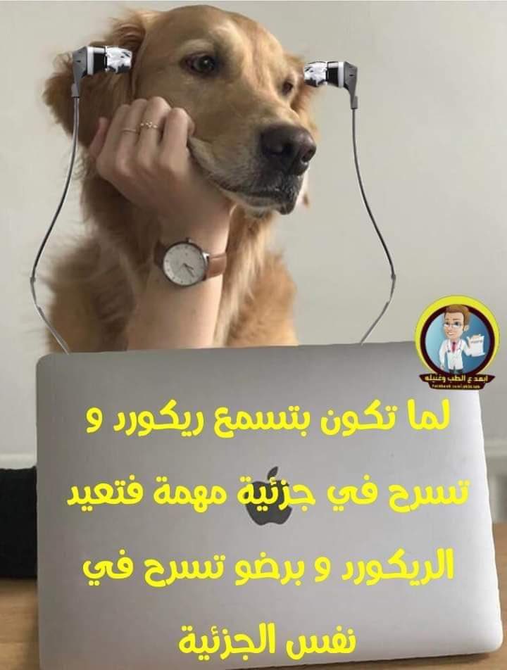 هاني (@iih4u) on Twitter photo 