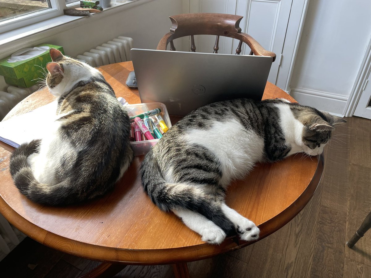 Tom Coulthard tweet media