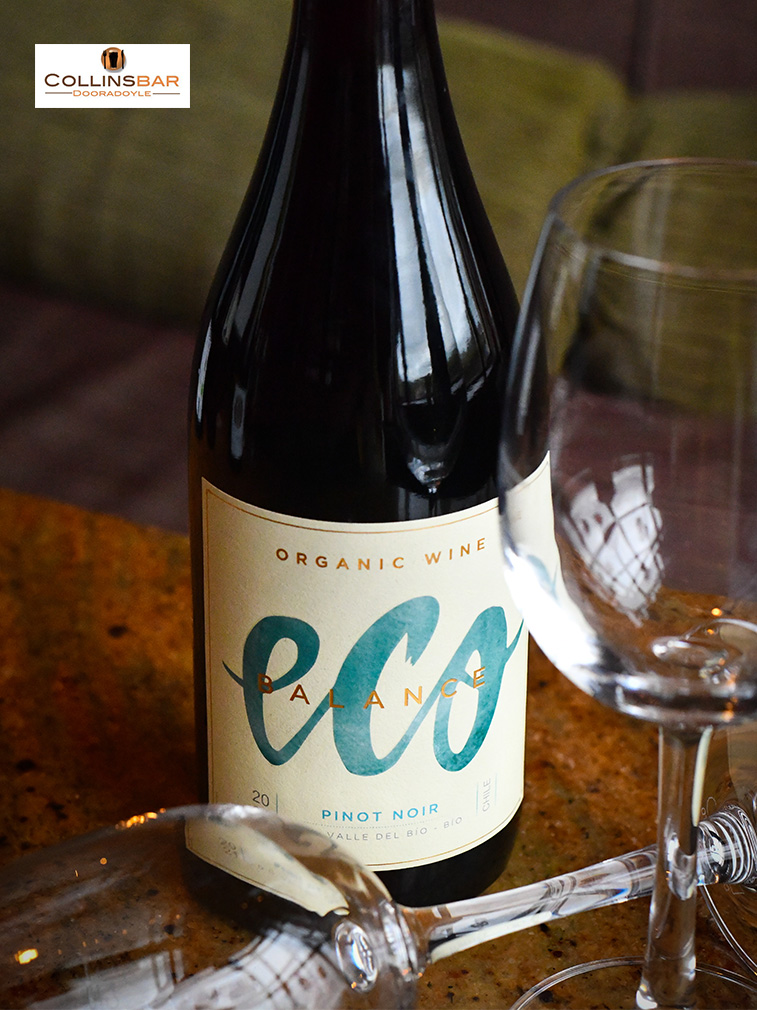 CollinsBarDoora's tweet photo. We're in the process of updating our Wine Menu for you and we will be unveiling our latest editions for you over the next few days! This is our Chilean Eco Organic, a Pinot Noir from the Casablanca Valley. #PinotNoir #Chilean #Organic #CasablancaValley #intensefinish #winelist https://t.co/3uKt7tGhUd