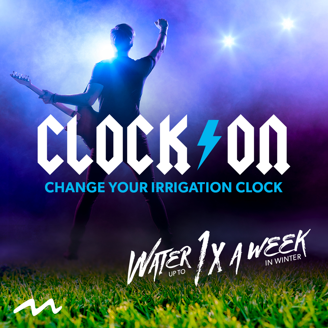 wcwcd's tweet photo. With cooler weather, lawns are dormant and only need water up to 1X a week. Be a rockstar and dial back that irrigation clock.

#clockon #slowtheflow #waterwiseutah https://t.co/aHEHwrYJhn
