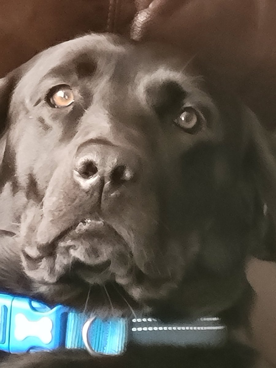 Emi Booth tweet media