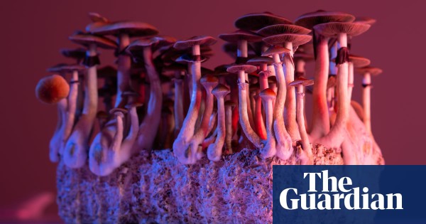 SrgShen's tweet photo. 🎩 Magic mushrooms’ psilocybin can alleviate severe depression when used with therapy

 #technology #SRGtalent #pharmaceutical #innovation #science #clinical #womeninstem #biotechnology #medtech #engineering #mathematics #impellamgroup #STEM https://t.co/bYSa5wcxuw https://t.co/5JNSkpsJxR