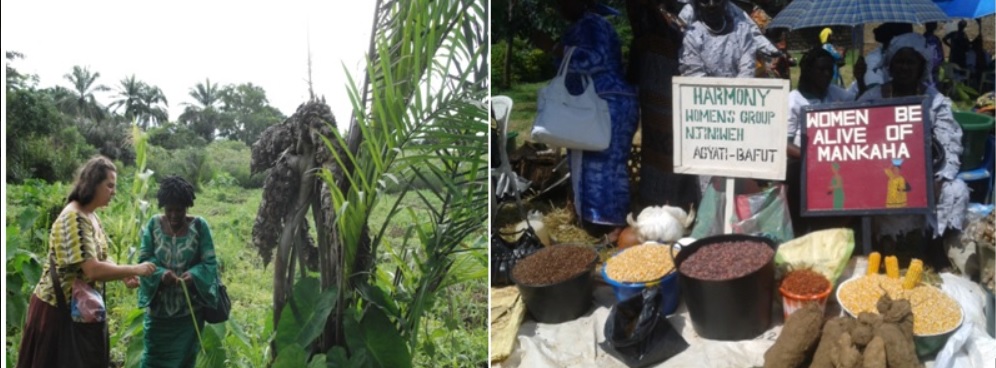 COP27: Africans, let us show your “seeds” and not  “needs.” Rather than go to the table with hands to beg, ask for reparation of injustices so we can develop and benefit from our rich endowments - vast agric lands, colossal renewable energy, rich traditions and cultures.
