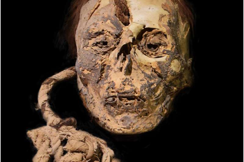 Evidence found of psychoactive and stimulant plants use by Nazca people in Peru 
#Archaeology #Anthropology #History #WorldHistory #ArchaeologyWW 
phys.org/news/2022-11-e… via <a href="/physorg_com/">Phys.org</a>