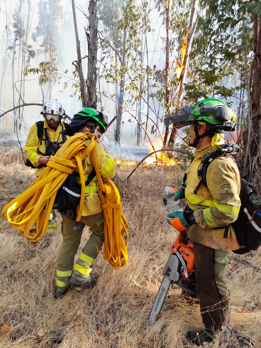 CILIFO_UE's tweet photo. Un estudio del  @CSIC, confirma que el número de días con riesgo extremo de incendios ha aumentado en todo el mundo y se ha duplicado en la cuenca mediterránea en los últimos 40 años. 

Luchar contra el cambio climático es luchar contra los incendios forestales. https://t.co/vGNRk2gugr