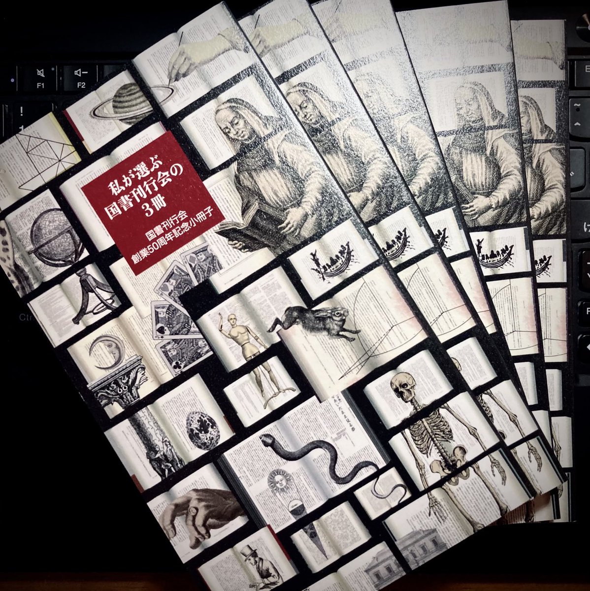 玉葉二 国書刊行会: 玉葉 内閣文庫 : 『玉葉』について知りたい。 – CGKWXD