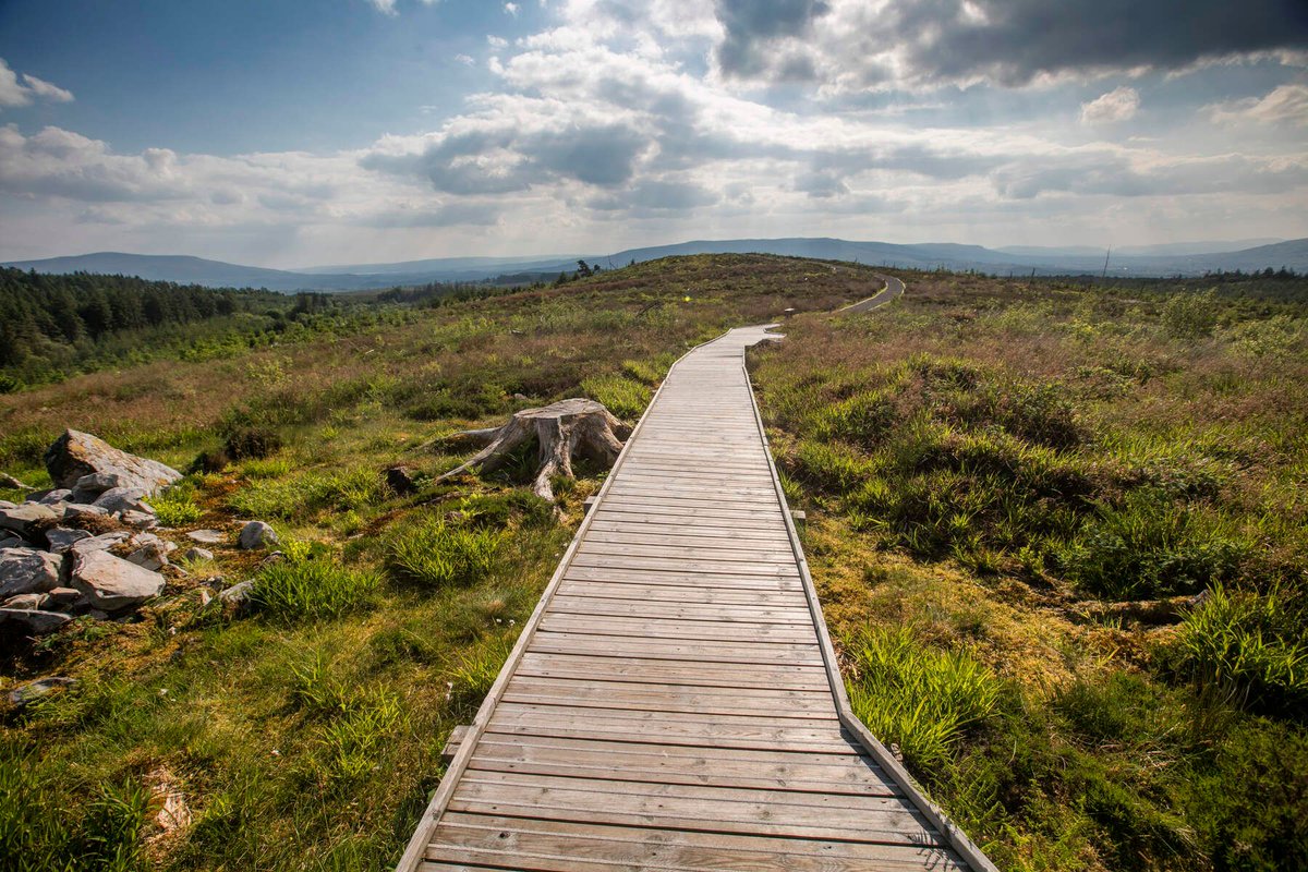 TheBBDirectory's tweet photo. The Keepers Arms is set in a beautiful location, ideal for walking & hiking. Book a winter break from 1st Dec & 28th Feb & enjoy a 3 night break for 2 people, only €250.
https://t.co/HBdkpLRw0h
#Accommodation #SpecialOffer #WinterBreak #Family #Rural #Walking #Bawnboy #CoCavan https://t.co/EduIDXzlWo