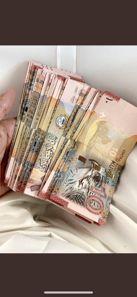 df222011's tweet photo. اللي جوها خلفي تدش خاص الحين كاش بس 💸🇰🇼 #دفيع_كويتي #دفيع_جاد #دفيع_الكويت #الكويت_دفيع #دفيع_كويتي . https://t.co/SocaukKesU