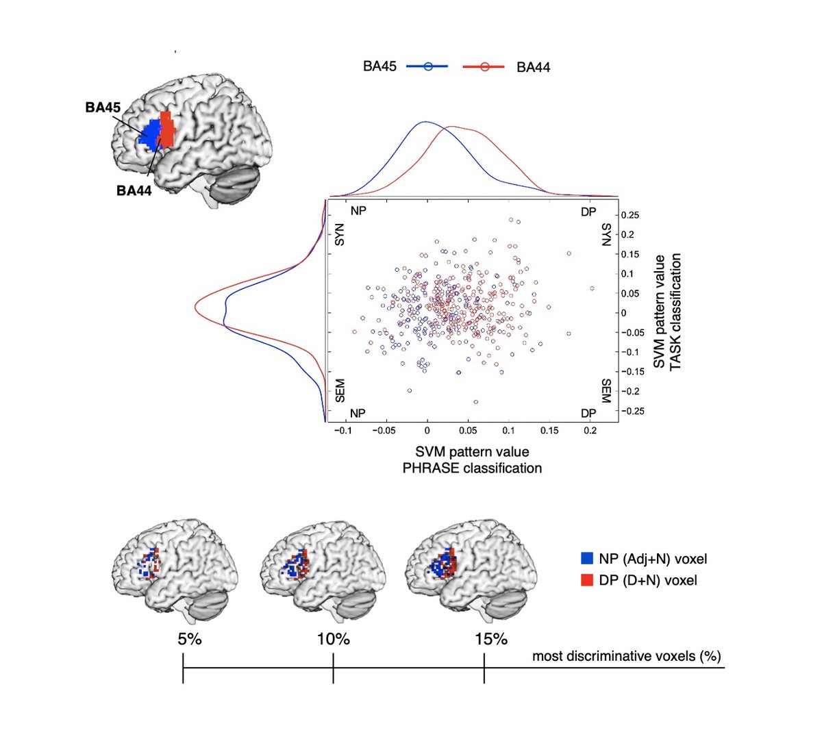 FriedericiLab (@friedericilab) on Twitter photo Out now: "Neural classification maps for distinct word combinations in Broca’s area"
Supporting hypothesis that combinatorial power must account for phrasal identities when processing linguistic input. #fMRI #MVPA
M Schell, A Friederici & <a href="/e_zaccarella/">Emiliano Zaccarella</a>
doi.org/10.3389/fnhum.… Out now: "Neural classification maps for distinct word combinations in Broca’s area"
Supporting hypothesis that combinatorial power must account for phrasal identities when processing linguistic input. #fMRI #MVPA
M Schell, A Friederici & <a href="/e_zaccarella/">Emiliano Zaccarella</a>
doi.org/10.3389/fnhum.…