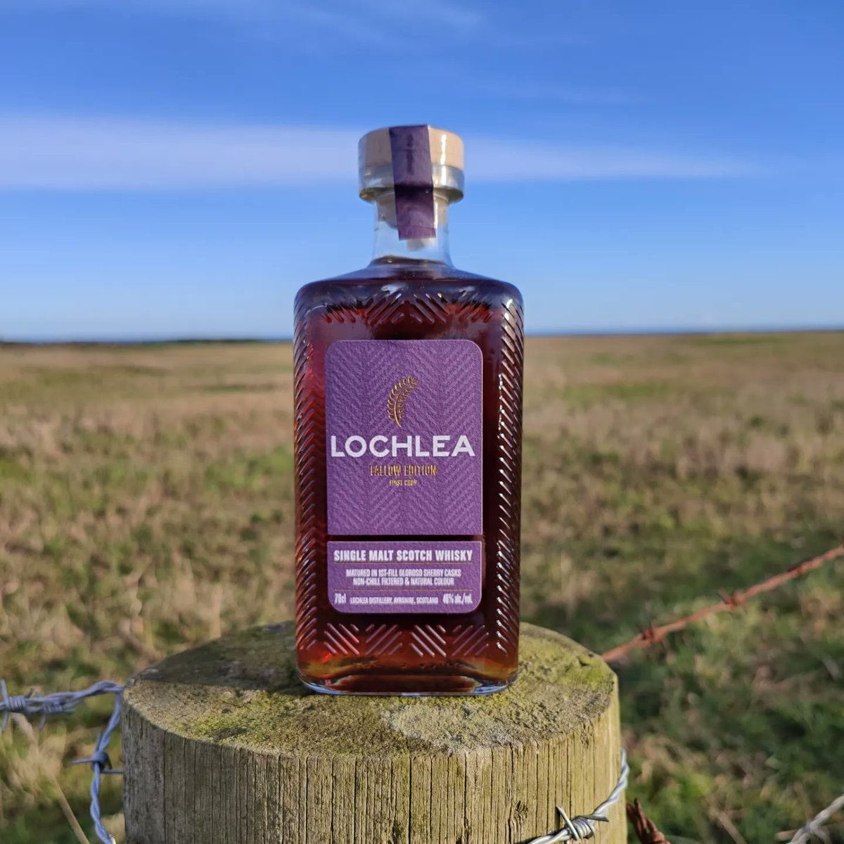 Lochlea Fallow Edition now available to buy now.

Matured in 100% ex Oloroso sherry butts with no added colour or chill-filtration. 🥃

 What's not to love 😍.

kinnairdheadwhiskies.com/product/lochle…

#lochlea#whisky#singlemalt#limitededition#lovewhisky